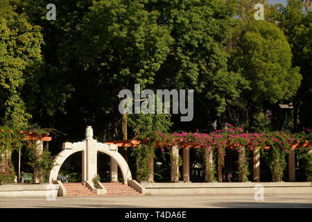 Lindbergh Théâtre en plein air ; dans le Parque Mexico City Park, dans le quartier Rom/Hipodromo de Mexico, Mexique. Banque D'Images