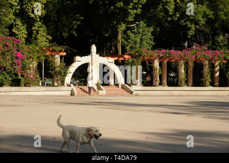 Lindbergh Théâtre en plein air ; dans le Parque Mexico City Park, dans le quartier Rom/Hipodromo de Mexico, Mexique. Banque D'Images