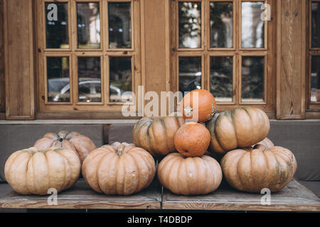 De nombreuses grandes citrouilles orange sur la place . Automne décoration de la rue. Banque D'Images