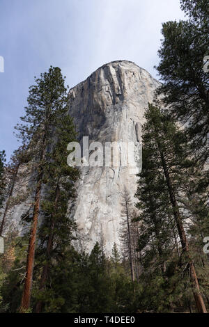 El Capitan Banque D'Images