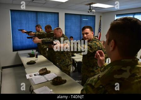 BELLE CHASSE, en Louisiane (22 mars 2019) Servicemembers la preuve du bon maniement des armes tout en essayant de se qualifier pour les Forces armées allemandes pour Badge de compétence militaire à l'Université de New Orleans Centre aquatique du 22 mars. Les Forces armées allemandes d'un insigne pour les militaires officielles est l'une des plusieurs centaines de bourses étrangères approuvées pour l'usure sur les uniformes militaires des États-Unis. Pour être admissibles, les participants sont testés dans leurs prouesses physiques, adresse au tir, les premiers soins, et les connaissances des armes nucléaires, biologiques et chimiques. Banque D'Images