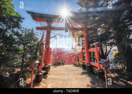 De Torii rouge dans Arakura sanctuaire Sengen avec le Mont Fuji en automne Banque D'Images