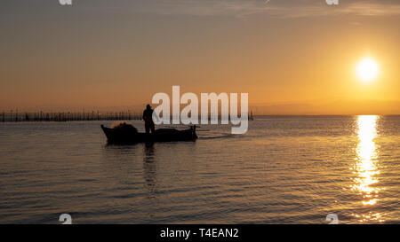 L'homme pêche dans un bateau au coucher du soleil dans l'Albufera de Valence, Valence, Espagne. Banque D'Images