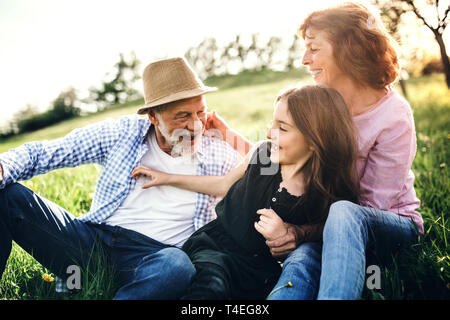 Couple avec sa petite-fille à l'extérieur au printemps de la nature, de détente sur l'herbe et s'amusant. Banque D'Images