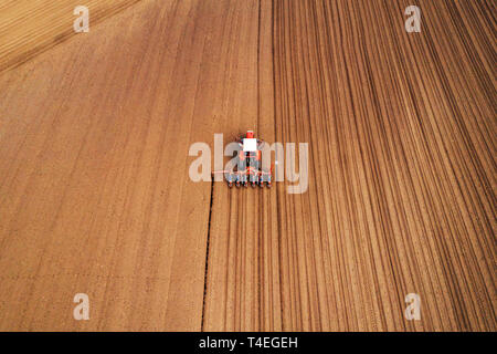 Drone photographie de tracteur avec seeder travaillant dans le secteur des machines agricoles, la plantation est de la semence en terre fraîchement labourés Banque D'Images