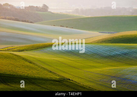 Lever du soleil de printemps dans le parc national des South Downs, West Sussex, Angleterre. Banque D'Images