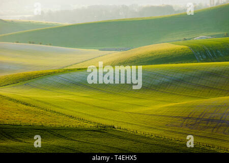Lever du soleil de printemps dans le parc national des South Downs, West Sussex, Angleterre. Banque D'Images