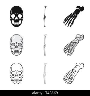 Crâne,Genou,Pied,la mort,joints,cheville,monster,sain,ménisque,le mal,body,horreur,podologie avant-pied,tatouage,jambe,DE,panneaux,chirurgie,tête,les pieds plats,dommage,oeil,circulation,l'enfer,les dents,cartilage,motion,médecine,clinique,biologie,médical,os,,squelette anatomie,des,organes,,set,icône,,illustration,collection,isolé,design,graphisme,élément vecteur vecteurs,signer , Illustration de Vecteur