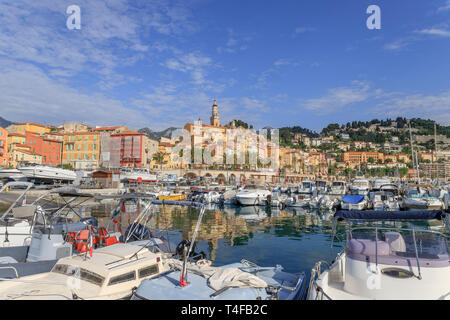 France, Alpes Maritimes, Menton, le port et la vieille ville dominée par la basilique Saint Michel Archange // France, Alpes-Maritimes (06), Menton, le Banque D'Images