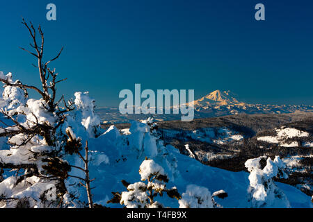 Mt Rainier vu de Mission ridge environ 69 milles au nord-est pendant l'hiver semble très élevés en raison de la relativement faible des terres entourant le sommet. Banque D'Images