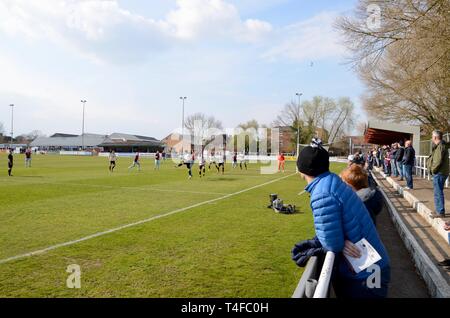 Taunton town v Kings Langley dans les clubs de football de Taunton, Somerset. dans le sud de la Division de la Ligue du Sud Le Premier ministre 13 avril 2019 UK Banque D'Images