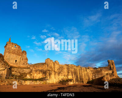 St Andrews Castle au lever du soleil à partir de sables bitumineux Château Les Scores St Andrews Fife Ecosse Banque D'Images