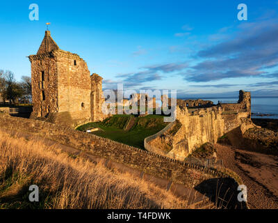 St Andrews Castle au lever du soleil de la St Andrews Fife Ecosse Banque D'Images