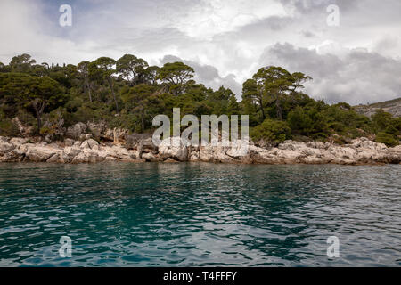 Les arbres et la nature à l'île de Lokrum Côte, Dubrovnik, en Croatie Banque D'Images