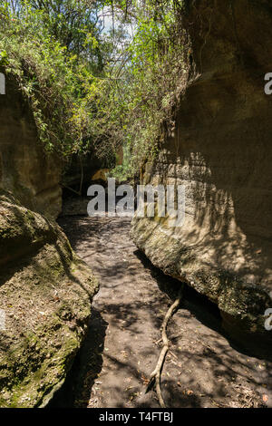 Lit de rivière à sec dans la partie étroite de l'Ol Njorowa gorge, Hells Gate National Park, Kenya Banque D'Images