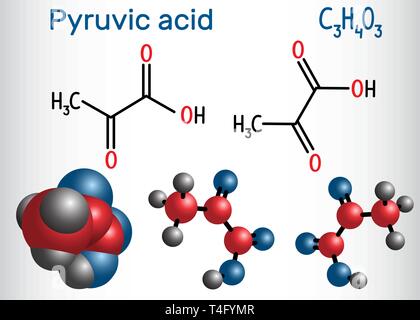 L'acide pyruvique (pyruvate) molécule. C'est le plus simple de l'alpha-céto-acides. Formule chimique structurale et molécule modèle. Vector illustration Illustration de Vecteur