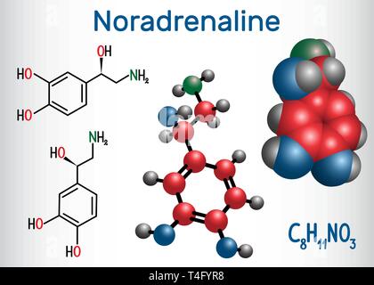 La noradrénaline (NA, la noradrénaline , NW ) molécule . C'est une hormone et neurotransmetteur. Formule chimique structurale et molécule modèle. Mauvais vecteur Illustration de Vecteur