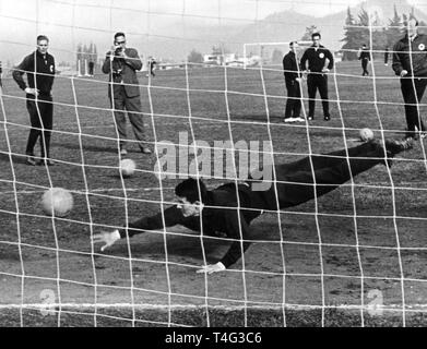 Gardien de Wolfgang Fahrian plonge pour la balle. L'équipe nationale de football allemande se prépare pour la prochaine Coupe du Monde FIFA 1962 à la formation d'une académie militaire à Santiago du Chili. Dans le monde d'utilisation | Banque D'Images