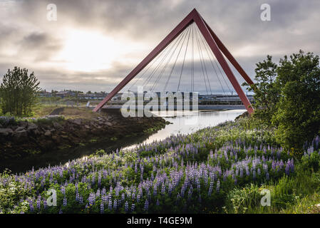 Passerelle sur la rivière Ellidaar à Reykjavik, Islande Banque D'Images