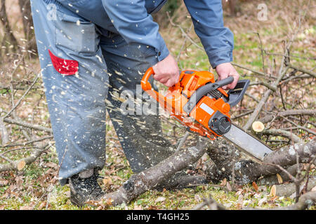 Scie à chaîne à l'aide de travailleurs et de couper les branches d'arbres. Banque D'Images