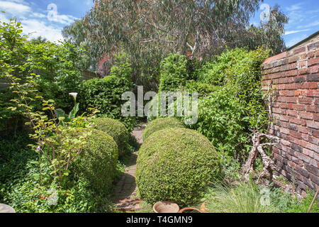 Un jardin anglais, Alverstoke, Gosport, Hampshire, Angleterre Banque D'Images