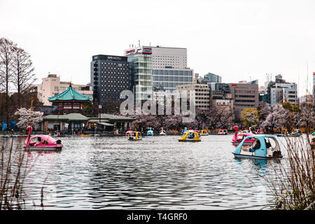 Petit lac à Ueno Park avec pédalos à Tokyo, Japon Banque D'Images