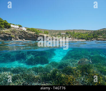 Espagne côte méditerranéenne avec des herbes marines Posidonia sous l'eau, moitié sur l'affichage fractionné et sous l'eau, Roses, Costa Brava, Catalogne Banque D'Images