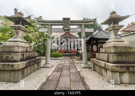 Shiokoji ward, Kyoto, Japon - Novembre 08, 2017 : de Torii, lanterne de pierre (Ishidoro), de l'eau (Chozuya Pavillon d'ablution) et la salle principale (Dai Benzai afin Banque D'Images