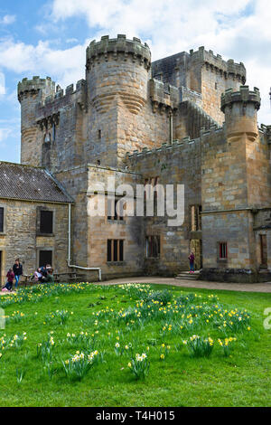 La cour à l'arrière de Belsay, château du 14ème siècle, et plus tard la tour de Peel dans les immeubles, dans le Northumberland, England, UK Banque D'Images