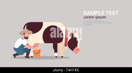 Vache laitière, agriculteur dans la benne d'animaux domestiques agricoles Bovins lait frais télévision concept horizontal fond gris copy space Illustration de Vecteur