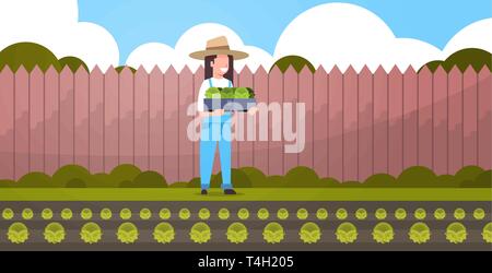 Female farmer holding box avec salade verte légumes choux récolte uniforme de travailleur agricole agriculture eco concept backyard Illustration de Vecteur