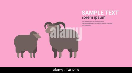 Cute Black sheep et ram animaux domestiques agricoles laine concept reproduction plate horizontale copy space Illustration de Vecteur