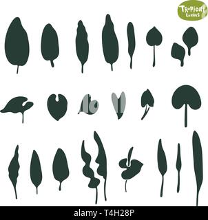 Collection de feuilles de gribouille tropicale. Jeu de silhouettes isolées vectorielles sur fond blanc. Illustration de Vecteur