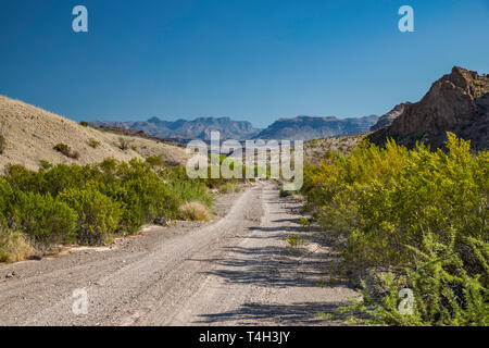 Rue de la Rivière, montagnes Chiso en distance, Désert de Chihuahuan borderland, Big Bend National Park, Texas, États-Unis Banque D'Images