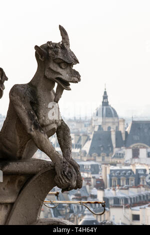 La cathédrale Notre dame Banque D'Images