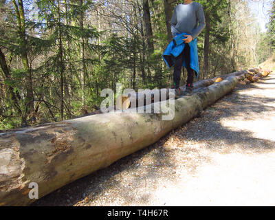 Garçon enfant marcher sur les troncs des arbres stimule le développement moteur et l'équilibre Banque D'Images