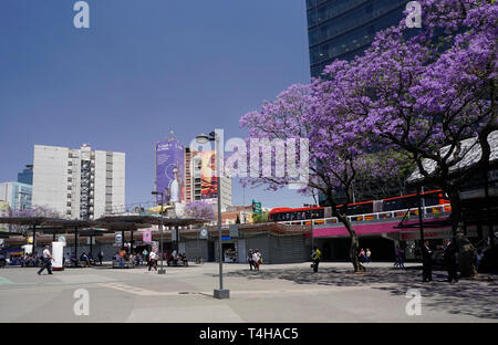 Insurgentes Métro Plaza (Glorieta de los Insurgentes) pour le Métrobus et Metro train s'arrête dans la ville de Mexico, Mexique Banque D'Images