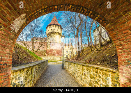 Mur de défense médiévale et le tour des charpentiers à Sibiu ville, région de Transylvanie, en Roumanie. Banque D'Images