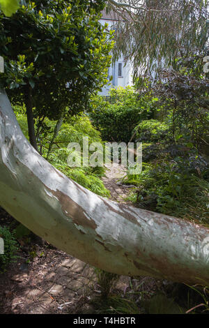 Un jardin anglais, Alverstoke, Gosport, Hampshire, Angleterre Banque D'Images