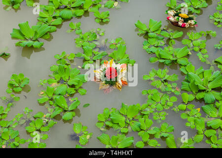 Un bouquet de mariée flottant dans un étang. Un bouquet de mariée flottant dans un étang.