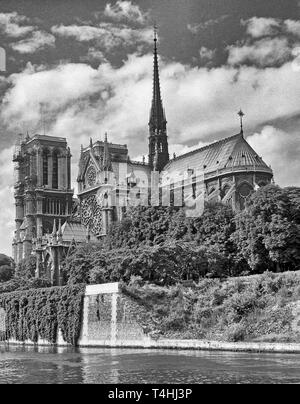 Cathédrale Notre Dame de Paris, France. File photo prise dans le milieu des années 1950 Banque D'Images