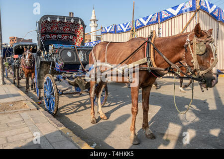Un cheval transport attendre que les clients à côté du Nil à Edfou. Voitures à cheval sont couramment utilisés pour le transport touristique des croisières vers E Banque D'Images