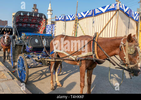 Un cheval transport attendre que les clients à côté du Nil à Edfou. Voitures à cheval sont couramment utilisés pour le transport touristique des croisières vers E Banque D'Images