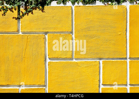 Détail d'une grille en forme de rectangle conception d'un jardin en béton clôture mur peint en jaune vif. Les plantes vertes qui pendent du haut du mur. Banque D'Images