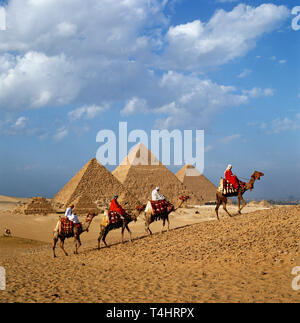 Les chameaux marchant devant les pyramides, Gizeh, Le Caire, Egypte Banque D'Images