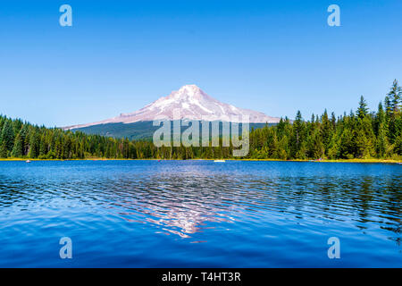 Paysage de la Trillium pittoresque lac entouré par la forêt donnant sur le mont Hood et le reflet de la montagne enneigée dans l'eau claire de la Banque D'Images