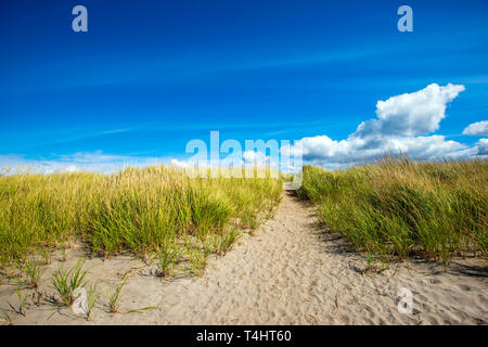 Un paysage frais apaisant avec de l'herbe verte luxuriante et un chemin à travers les dunes de sable sur l'océan Pacifique contre un ciel nuageux ciel bleu est un endroit idéal pour Banque D'Images