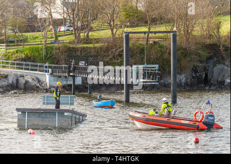 Schull, West Cork, Irlande. Apr 16, 2019. West Cork le génie civil ont eu la tâche de renflouement du €600 000 Schull ponton, prêt pour la saison. Les travailleurs ont vu flotter un morceau du ponton en position. Credit : Andy Gibson/Alamy Live News. Banque D'Images