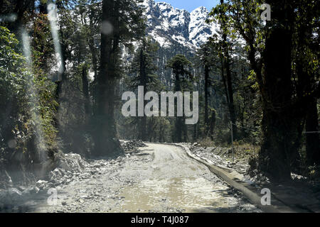 (190417) -- Lhassa, le 17 avril 2019 (Xinhua) -- Photo prise le 11 avril 2019 montre la forêt sur la route de Medog Comté, Nyingchi Ville de sud-ouest de la Chine, région autonome du Tibet. Medog, qui signifie 'Secret' Lotus en langue tibétaine, est situé dans la région de Nyingchi de sud-est du Tibet. Être sur le cours inférieur de la rivière Yarlung Zangbo et le sud de l'Himalaya, Medog comté bénéficie d'incroyables paysages naturels en raison de sa position géographique exceptionnelle. Avant la circulation routière ouverte, les gens n'ont pas pu arriver à Medog sauf pour la marche à pied. Obtenir dans et hors de Medog était un voyage dangereux. Frequ Banque D'Images