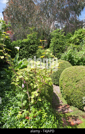 Un jardin anglais, Alverstoke, Gosport, Hampshire, Angleterre Banque D'Images